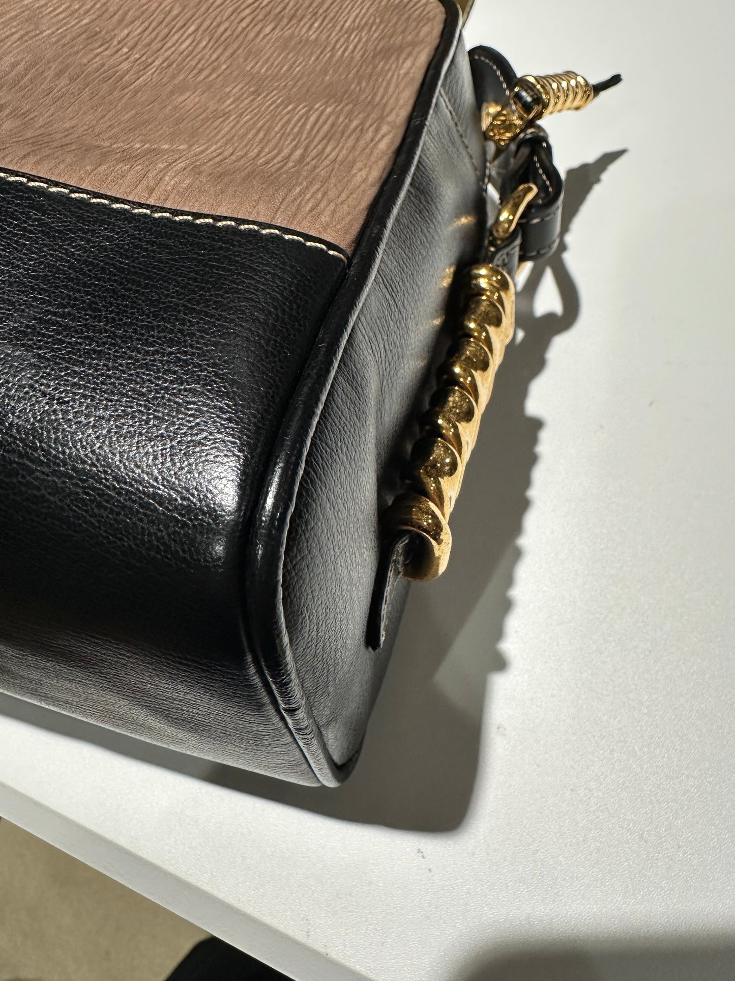 Loewe Twist Crossbody